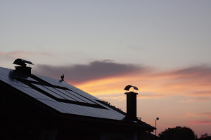 Read more about the article Off-grid solar system: Do you need one?