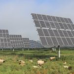 building solar farm