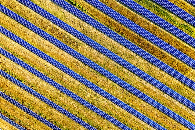 Everything You Need to Know About Starting a Solar Farm 1 what is solar farm