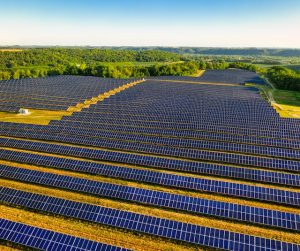 Read more about the article Pros and Cons of Solar Farms